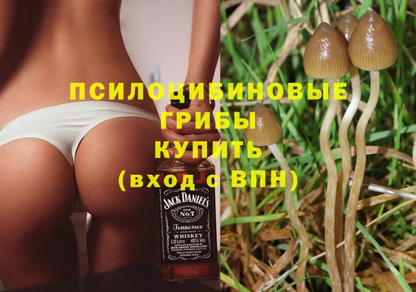 МДПВ Вязьма