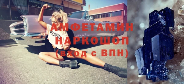 гашик Пересвет