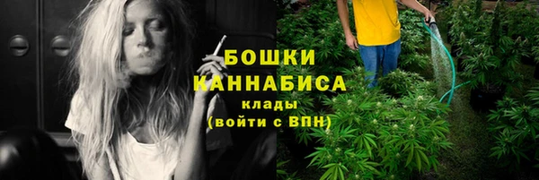 PSILOCYBIN Нефтегорск