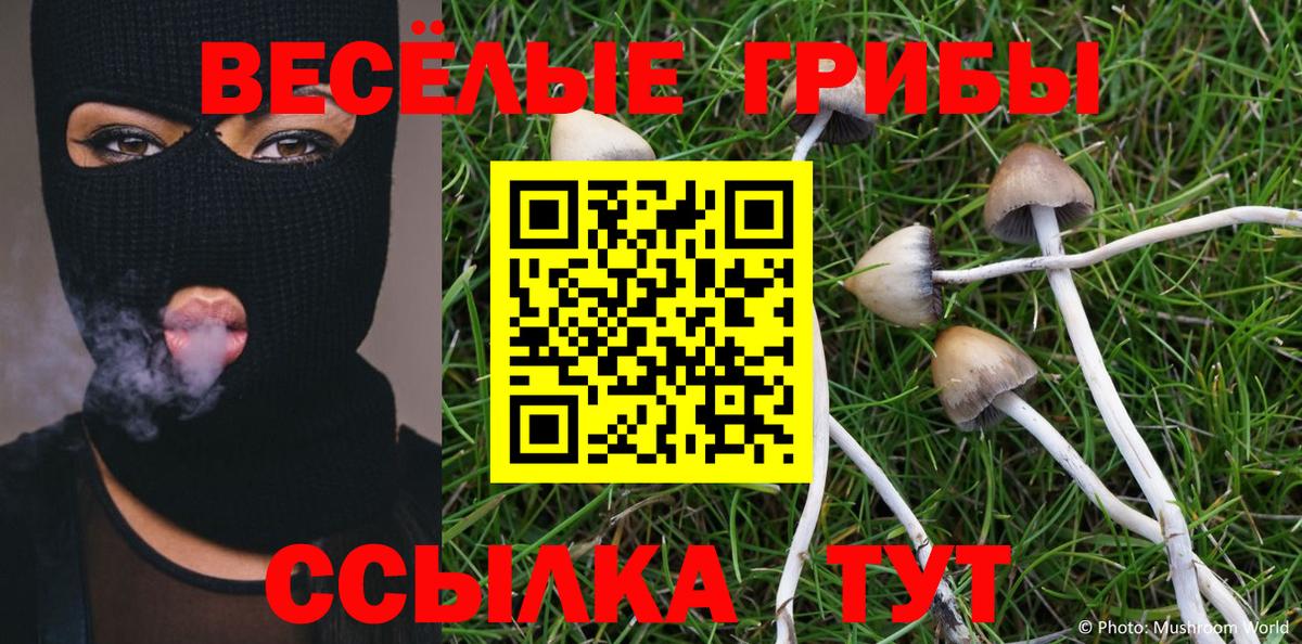 Псилоцибиновые грибы ЛСД Минусинск